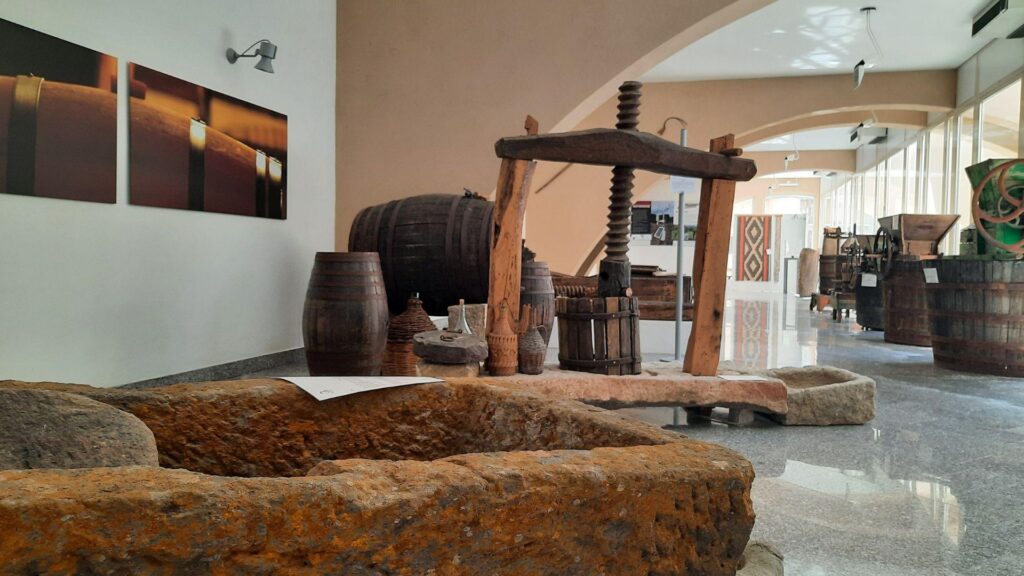 Museo del Vino