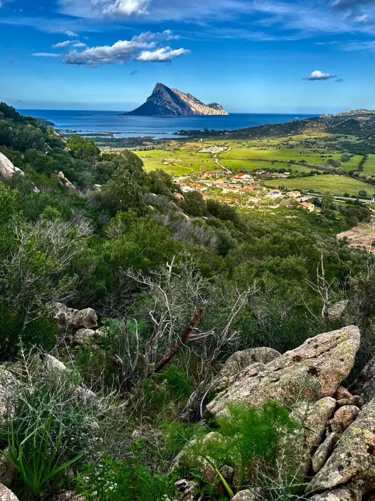 Sentiero alla Croce di Monte Ruiu