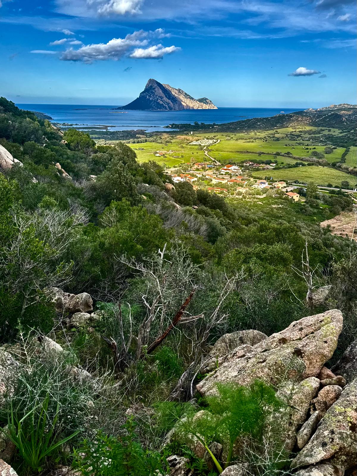 escursione su Monte Ruiu a Porto San Paolo