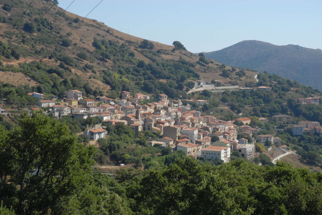 Bortigiadas