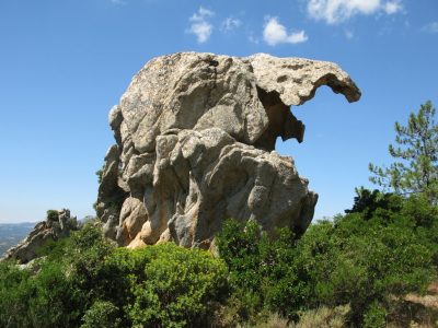 Monte Pino - Telti - Gallura Turismo